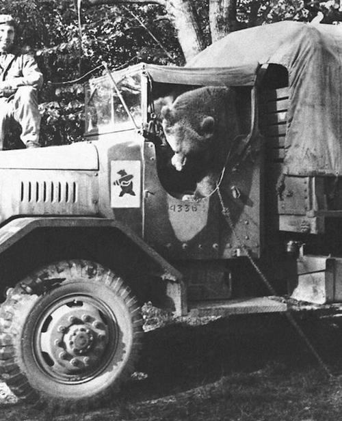Wojtek, el oso soldado
