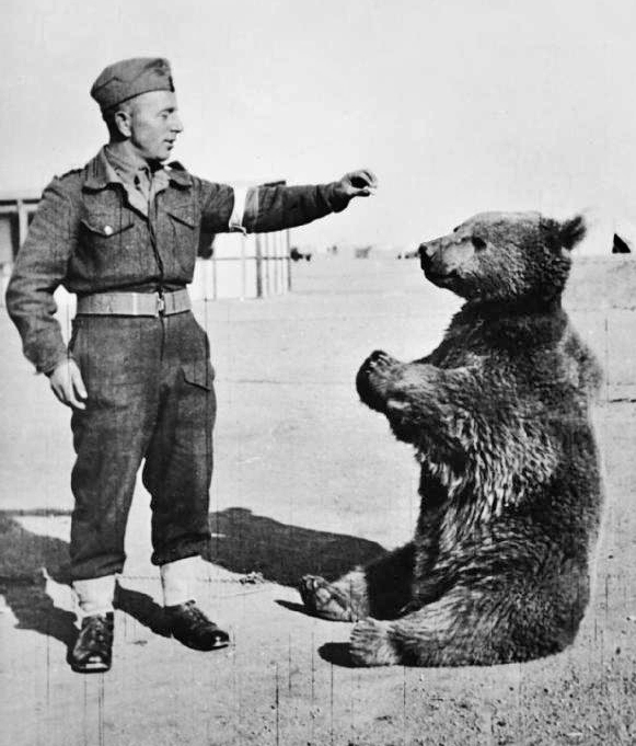 Wojtek, el oso soldado